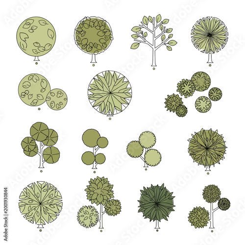 Set of top view tree icons for landscape design