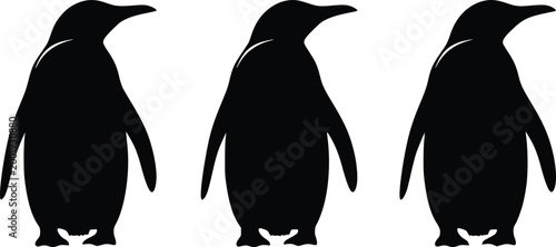 Three black penguin silhouettes standing in a row on a plain white background birds