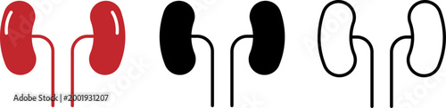 Set of kidney icons in different styles