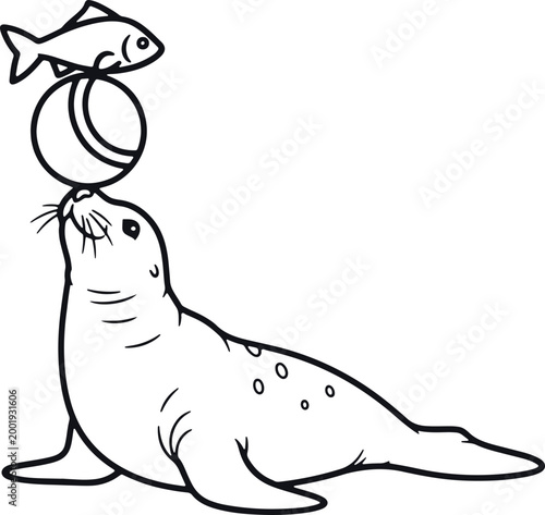 Seal balancing ball with fish on top, performing trick, line art, circus style, isolated transparent background.