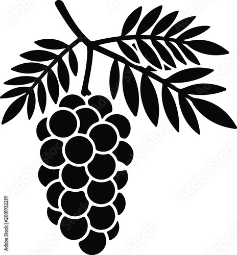 Silhouette vector grape bunch with leaves isolated graphic icon design