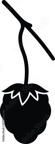 Silhouette vector graphic of a fresh ripe wild raspberry fruit design