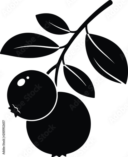 Silhouette vector illustration of a branch with two ripe berries design