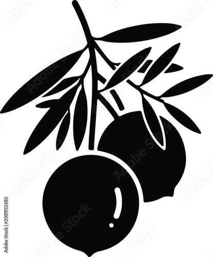 Silhouette vector illustration of a branch with two round fruits design