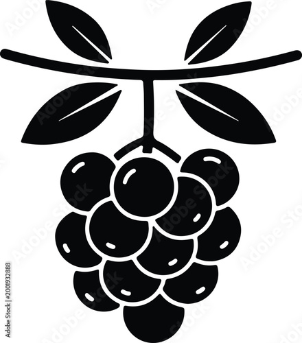 Silhouette vector illustration of a bunch of fresh hanging grapes design