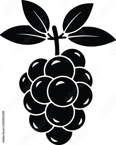 Silhouette vector illustration of a fresh bunch of grapes design