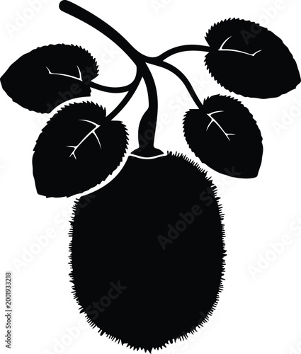 Silhouette vector illustration of a fresh jackfruit hanging on branch design