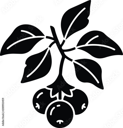 Silhouette vector illustration of a healthy organic berry plant design