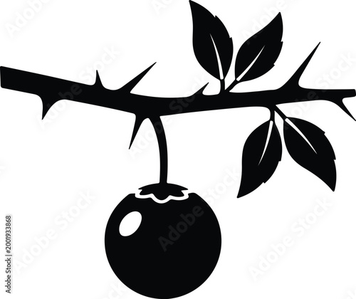 Silhouette vector illustration of a thorny branch with single berry design