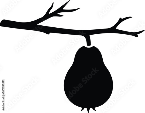 Silhouette vector illustration of a single pear hanging from branch design