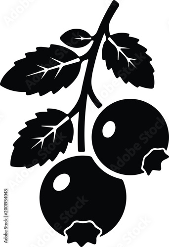 Silhouette vector illustration of fresh black currant berry branch design