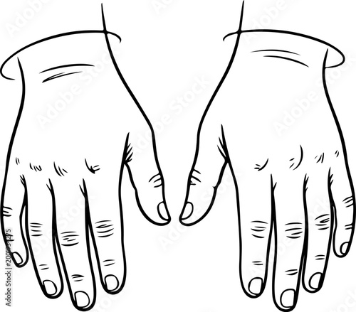 Minimalist line art hands gesture human anatomy illustration abstract outline drawing modern sketch design