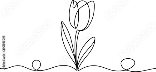 Elegant single line drawing of a tulip flower blooming on a minimalist horizontal line with decorative loops