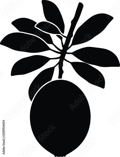 Silhouette vector lemon fruit with green leaves for natural food design