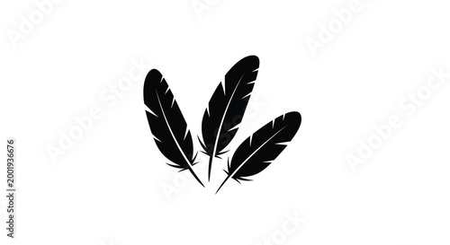 three feather silhouettes on white background high quality