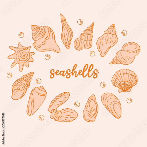 Sea shells illustration. Nautical elements for branding, spa logos and wedding invitations. Marine decor with bubbles.