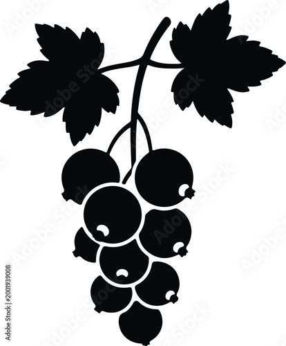Silhouette vector of a branch with fresh black currant design