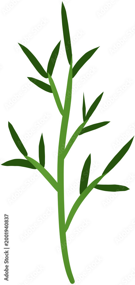 Obraz premium bamboo and leaves