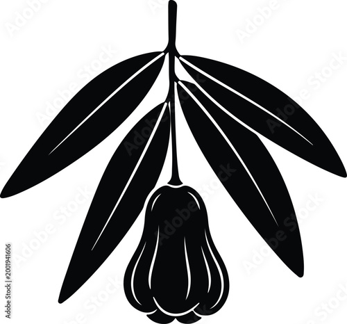Silhouette vector of a hanging wax apple fruit and leaves design