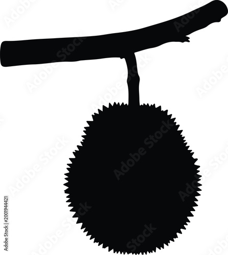 Silhouette vector of a spiky durian fruit hanging on design