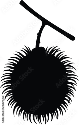 Silhouette vector of a tropical rambutan fruit with leafy stem design