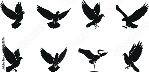 Collection of black bird silhouettes featuring pigeons doves and a crane in various flying and landing poses for nature design