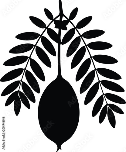 Silhouette vector of tamarind fruit hanging from tropical foliage plant design