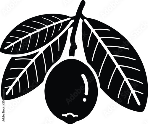 Silhouette vector olive branch with leaves for food brand logo design