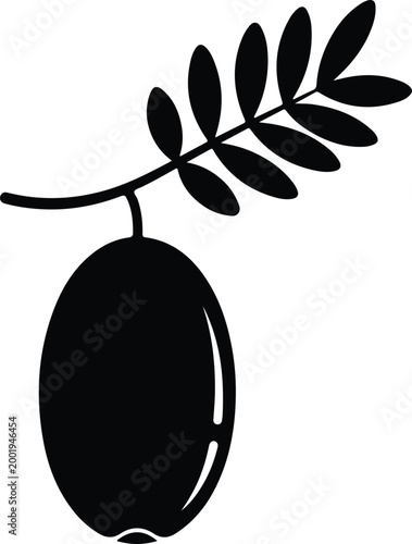 Silhouette vector olive fruit hanging on a small leafy branch design