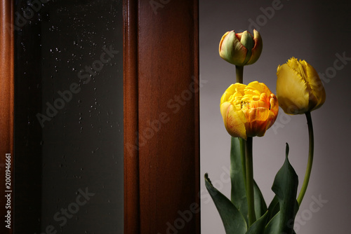 Fotografia Greeting card in a formal style