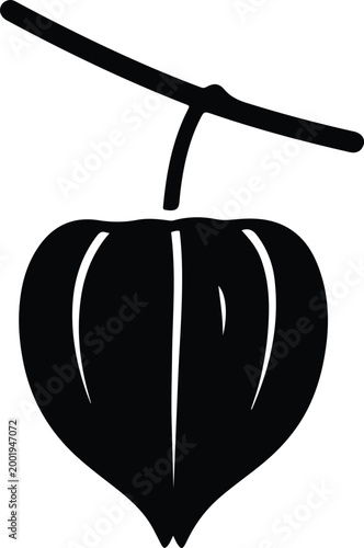 Silhouette vector physalis alkekengi fruit isolated on white background design