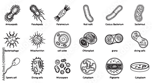 25 Microbiology Icons, Bacteria and Cell Biology Vector Symbols, Microbe Illustrations, Scientific Diagram Elements