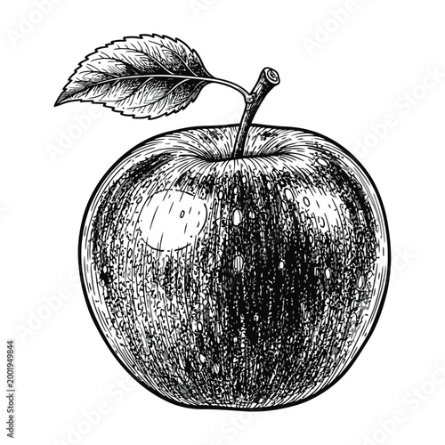 Detailed black and white illustration of a shiny apple with leaf