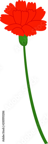 카네이션 꽃장식