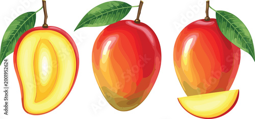 Realistic mango fruit illustration set with whole sliced and half pieces fresh tropical food vector isolated on white background detailed design