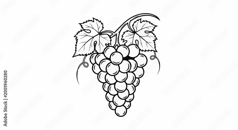 Fototapeta premium Black and white line drawing of a grape cluster with leaves