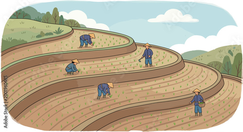 Bild auf Leinwand Farmers Working in Rice Field Collection Featuring Terraced Farming, Planting, a