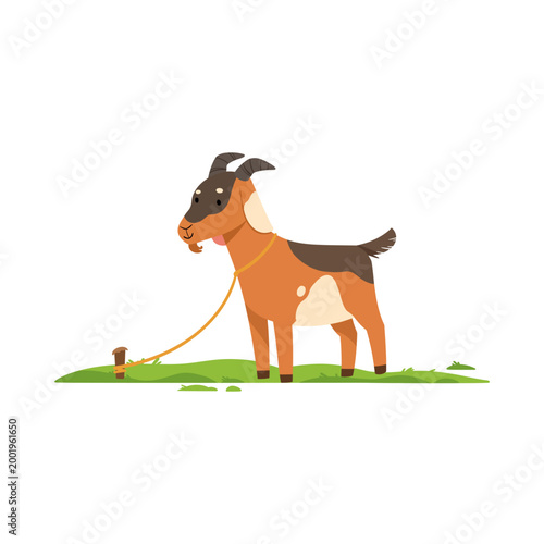 Brown Goat Tied on Green Grass Field