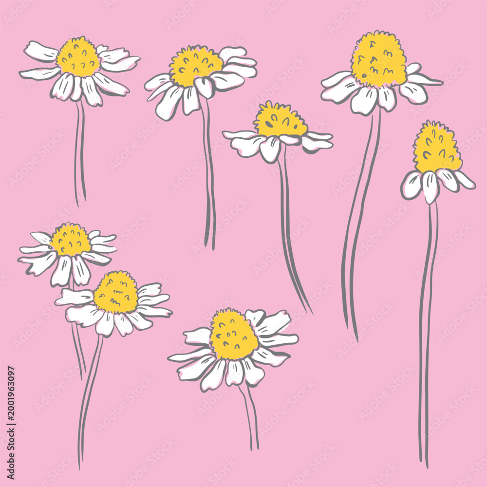 Obraz premium Whimsical chamomile doodle with pink background vector