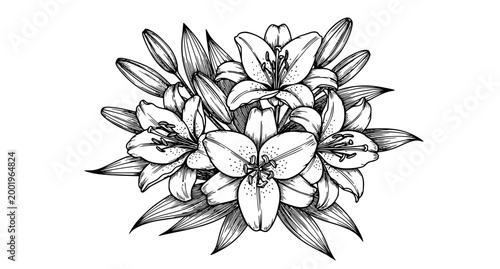 SEO Title
Elegant lily bouquet outline sketch hand drawn floral illustration for greeting cards and holidays