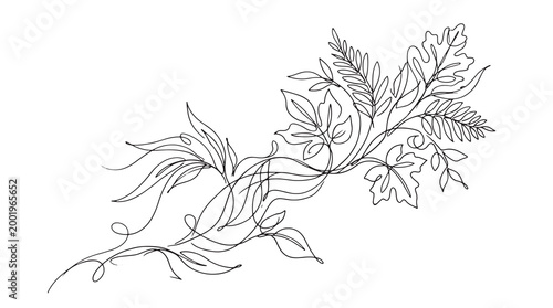 Delicate and elegant line drawing of swirling leaves and vines, perfect for decorative elements and graphic design