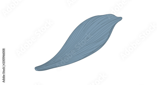 Cuadro en lienzo Blue leaf isolated on white background.