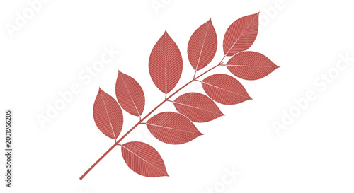 Konstfotografi Red leaf branch with multiple leaves.