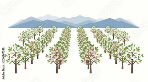 Orchard with blooming trees in spring