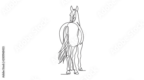 A minimalist line drawing of a horse viewed from behind, capturing its elegant form and flowing tail in a simple artistic style