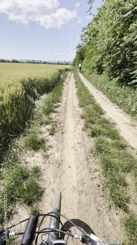 A person walks on a dirt path beside a wheat field under a clear blue sky