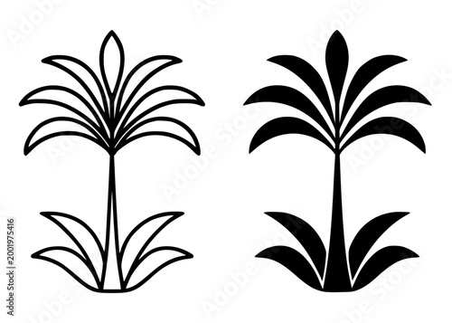 Ornamental palm illustration, outline and silhouette icon