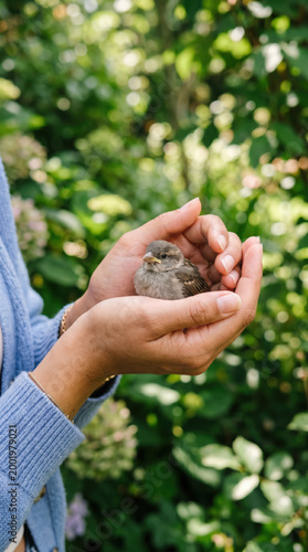 Gentle hands cradling a small bird amidst lush greenery, highlighting the connection between nature and compassion in a serene outdoor setting
