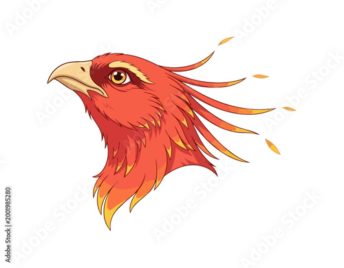 Stylized phoenix head illustration on black background