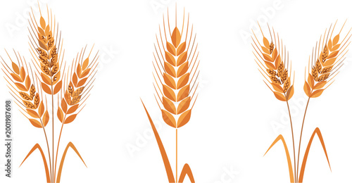 Golden wheat logo collection featuring agricultural grain symbols, harvest icons, and organic farming elements for food, bakery, and rural branding